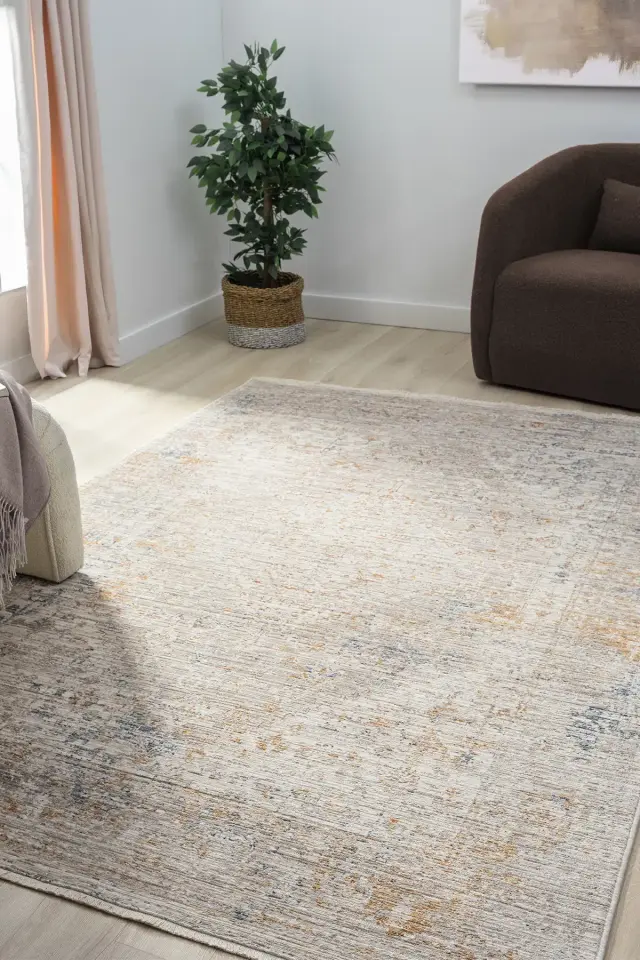 Seyran Halı Peru 10205 Bej Polyester Çerçeveli Yumuşak Doku Yüksek Kaliteli Halı